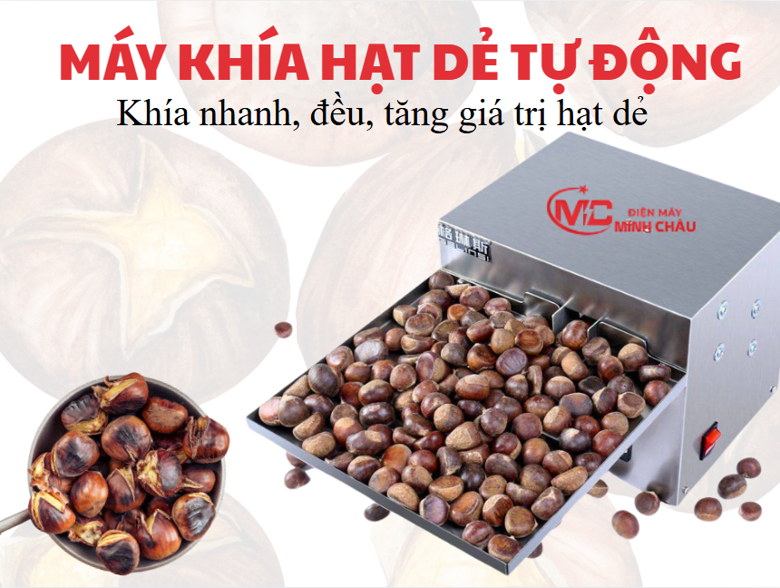 máy khía hạt dẻ tự động
máy khía hạt dẻ điện
máy khía hạt dẻ rang
máy khía hạt dẻ kinh doanh