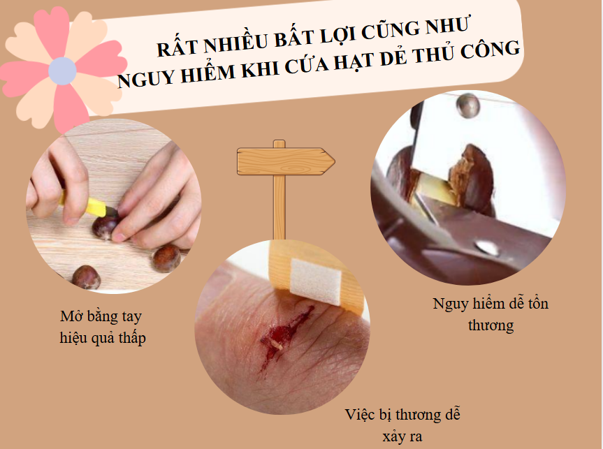 máy khía hạt dẻ tự động
máy khía hạt dẻ điện
máy khía hạt dẻ rang
máy khía hạt dẻ kinh doanh