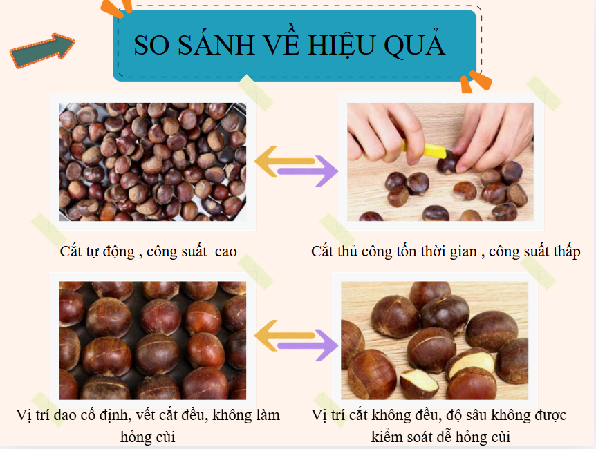 máy khía hạt dẻ tự động
máy khía hạt dẻ điện
máy khía hạt dẻ rang
máy khía hạt dẻ kinh doanh