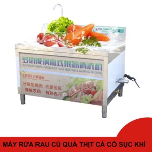 Máy rửa rau củ quả công nghiệp có sục khí ozon