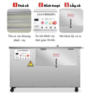 hướng dẫn sử dụng máy đánh vảy cá
