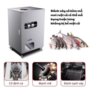 máy đánh vảy các kèm mổ bụng