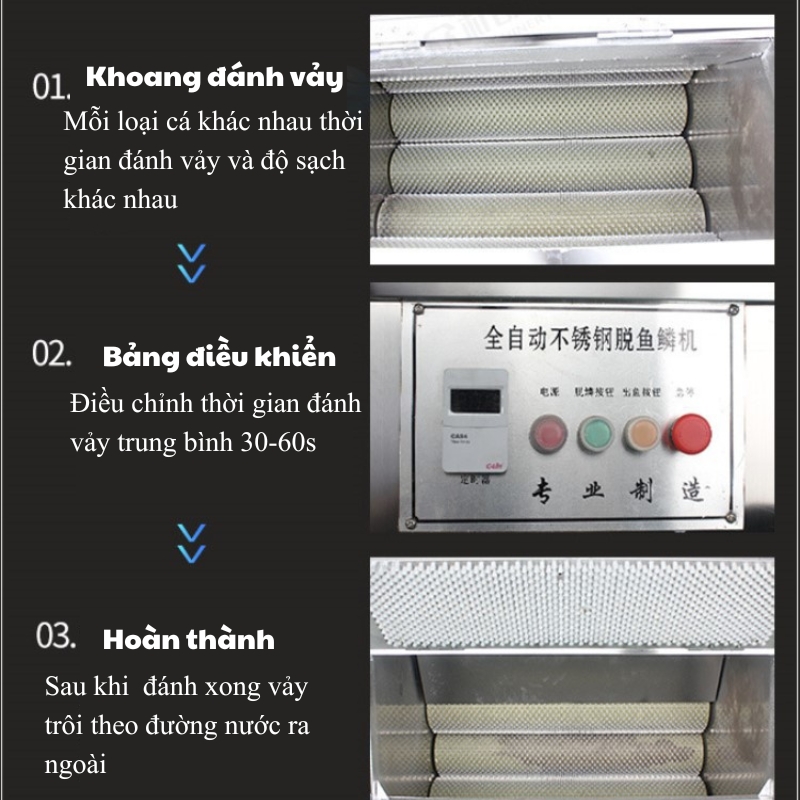 Máy đánh vảy cá công nghiệp Máy đánh vảy cá công nghiệp