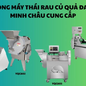 mua máy thái rau củ